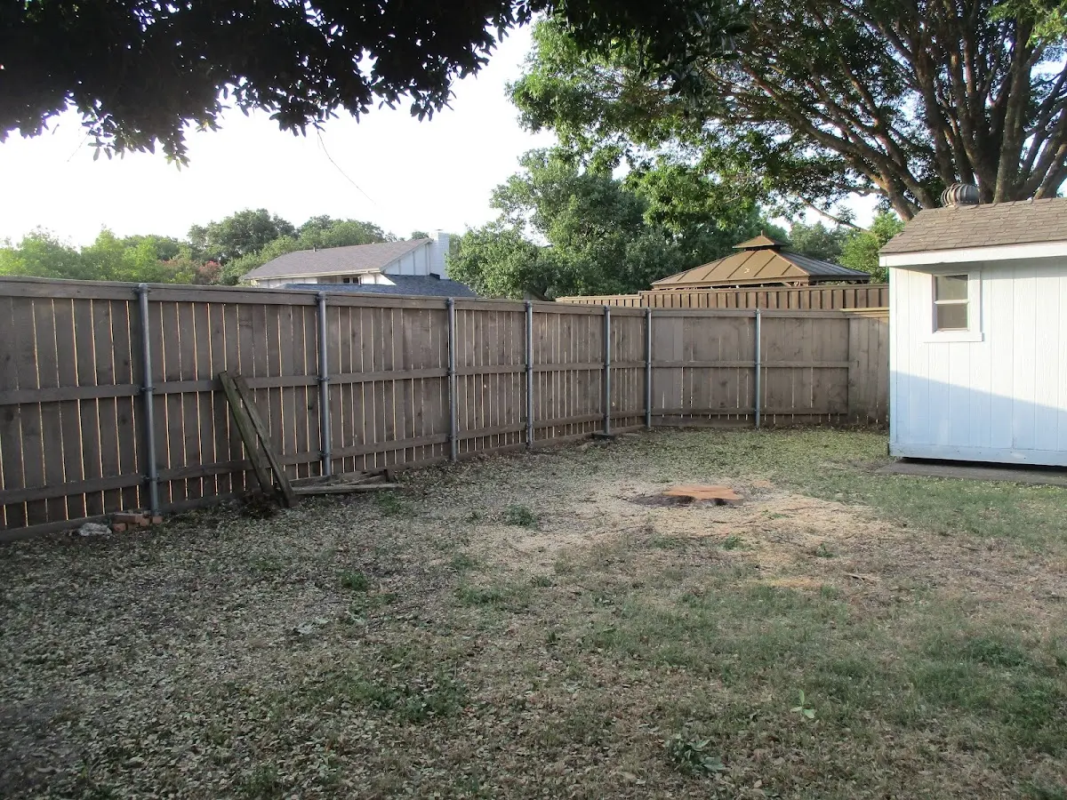 Cleared yard after professional tree removal in Dublin